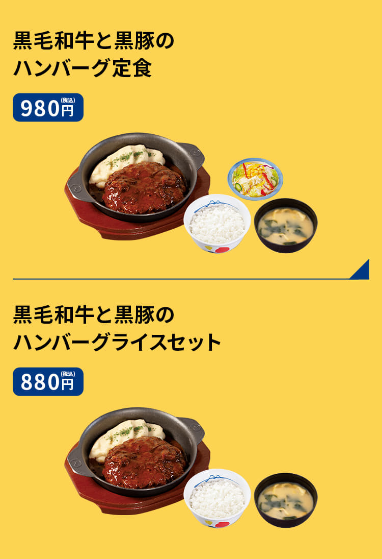 黒毛和牛と黒豚のハンバーグ定食　980円 黒毛和牛と黒豚のハンバーグライスセット　880円 黒毛和牛と黒豚のハンバーグ単品　780円