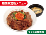 カルビと特選ブリスケット肉の合い盛り丼