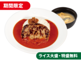 ネオトマトハンバーグカレー