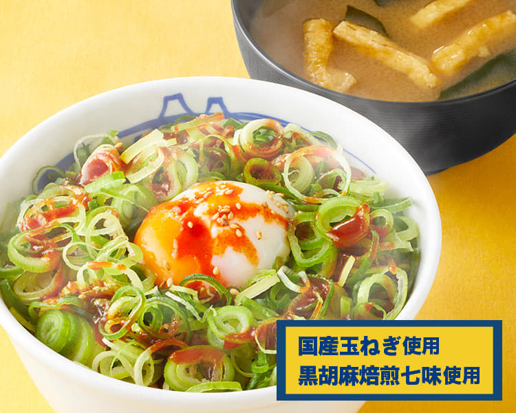 ネギたっぷりプレミアム旨辛ネギたま牛めし
