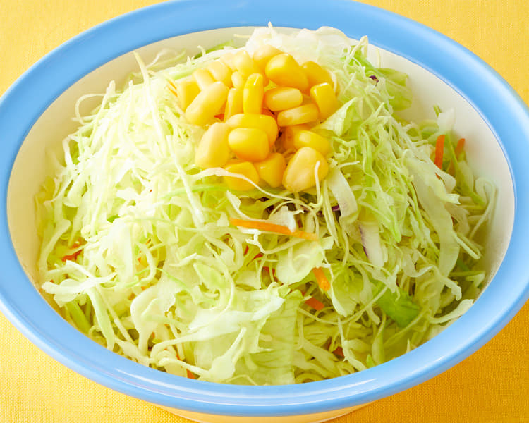 生野菜 メニュー 松屋 生野菜 メニュー 松屋