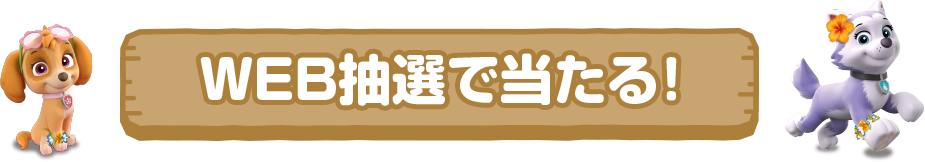 WEB抽選で当たる！