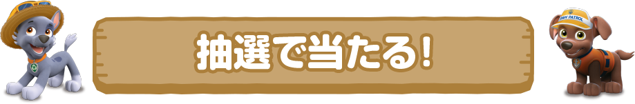 抽選で当たる！