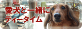 ワンちゃんとご一緒に！テラス席は愛犬同伴OKです！