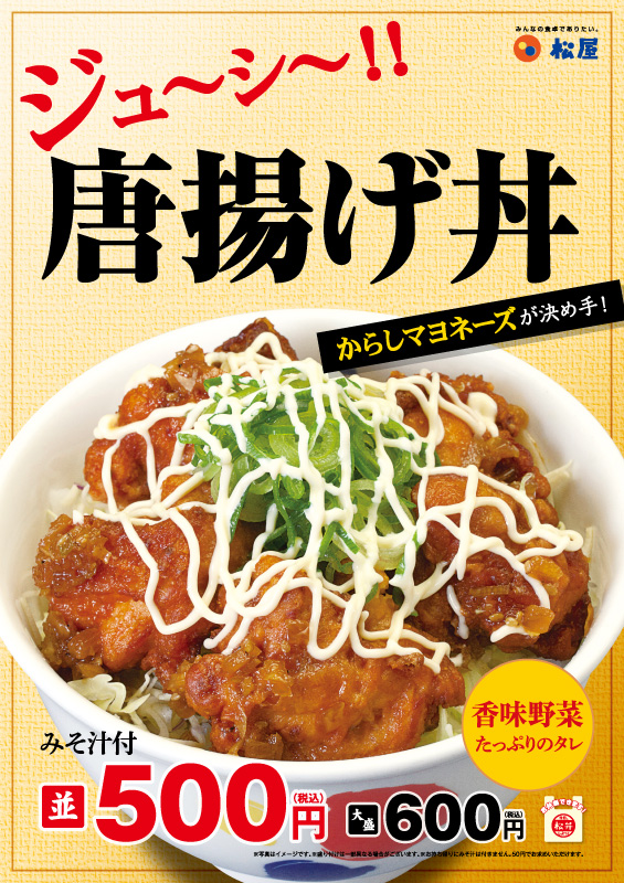 「唐揚げ丼」の画像検索結果